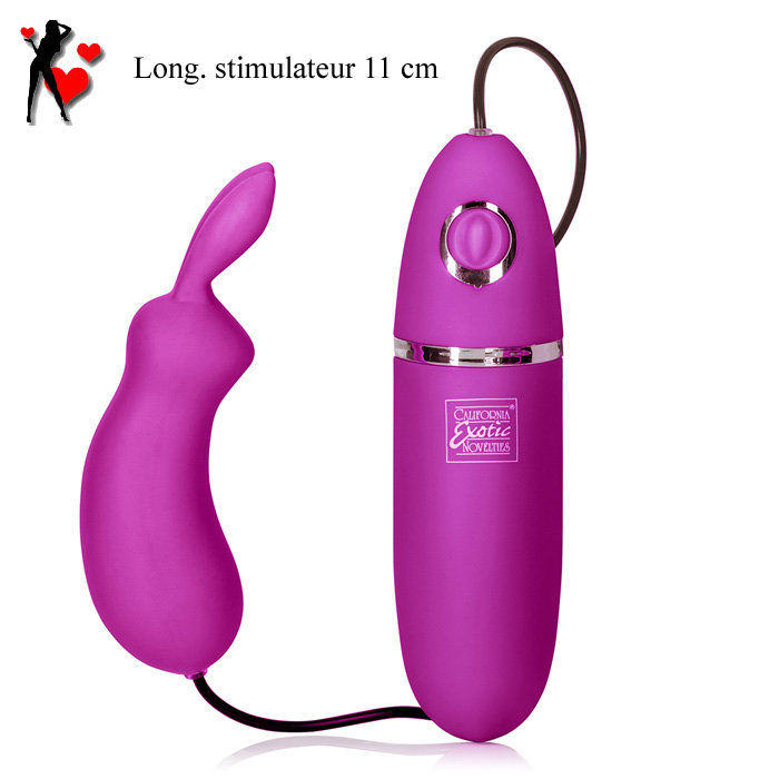 Stimulateur sextoys clito ttons et toutes zones sexuelles et rognes